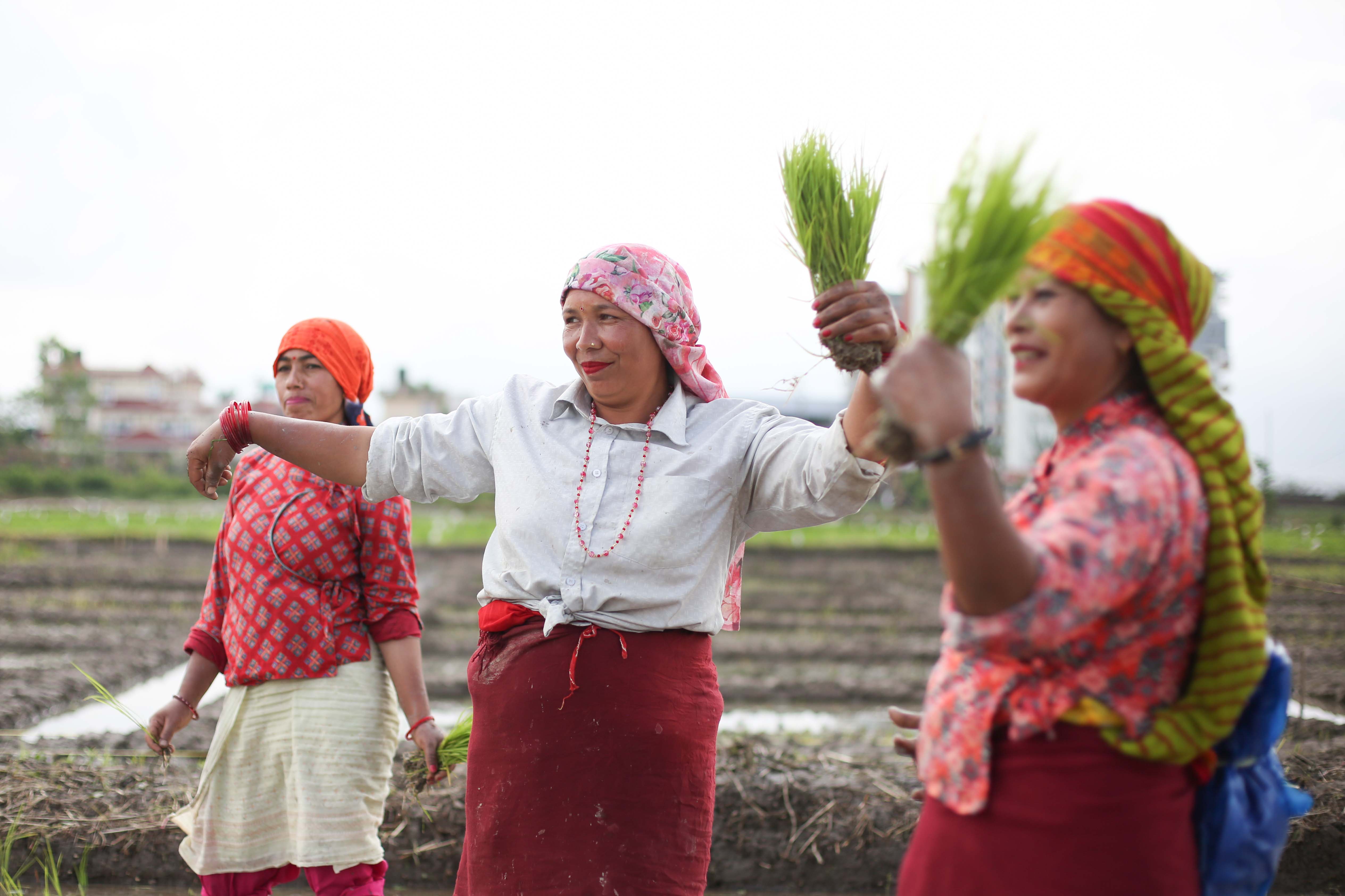 National-Paddy-Day_-557-1751172454.jpg