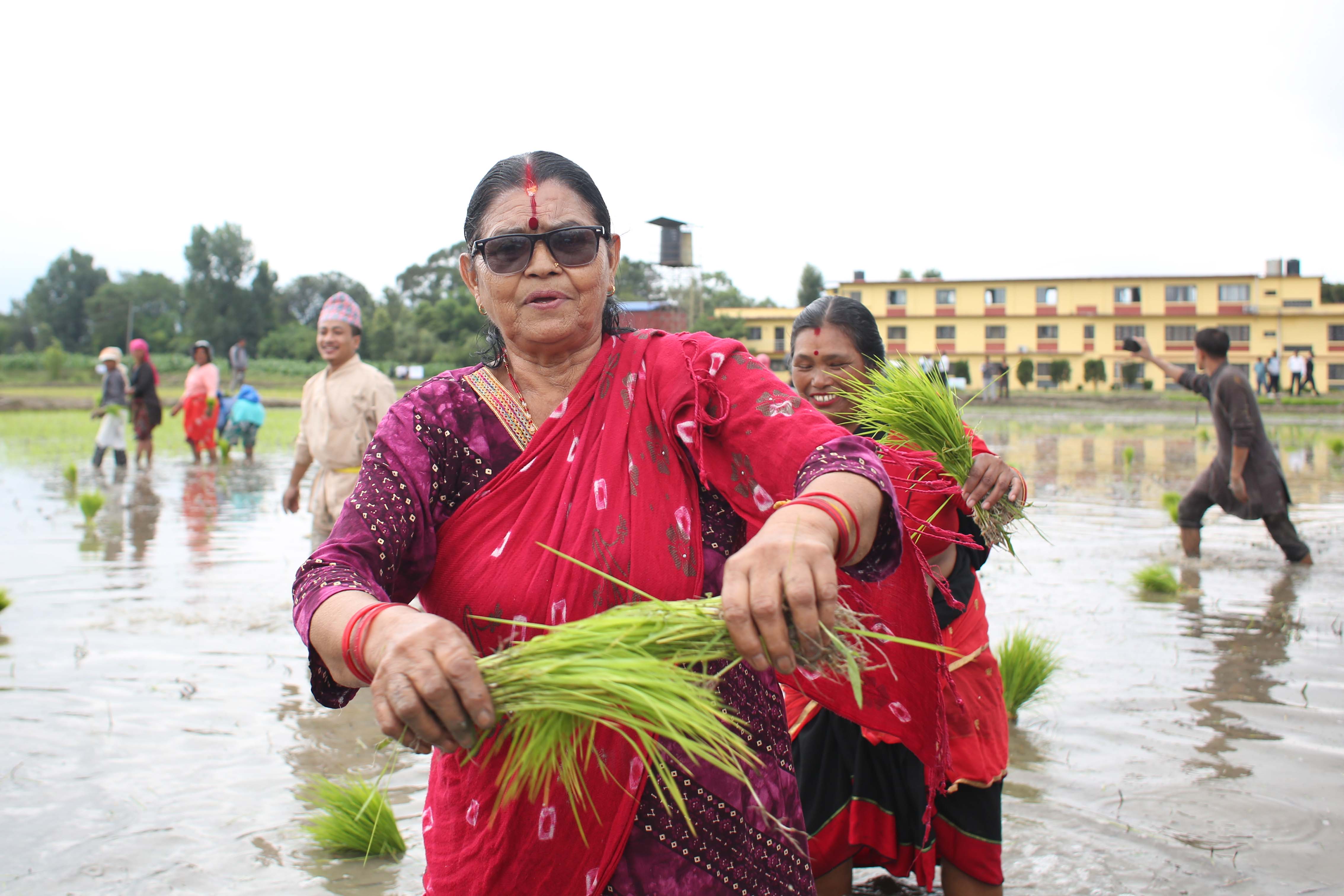 National-Paddy-Day_-562-1751172468.jpg