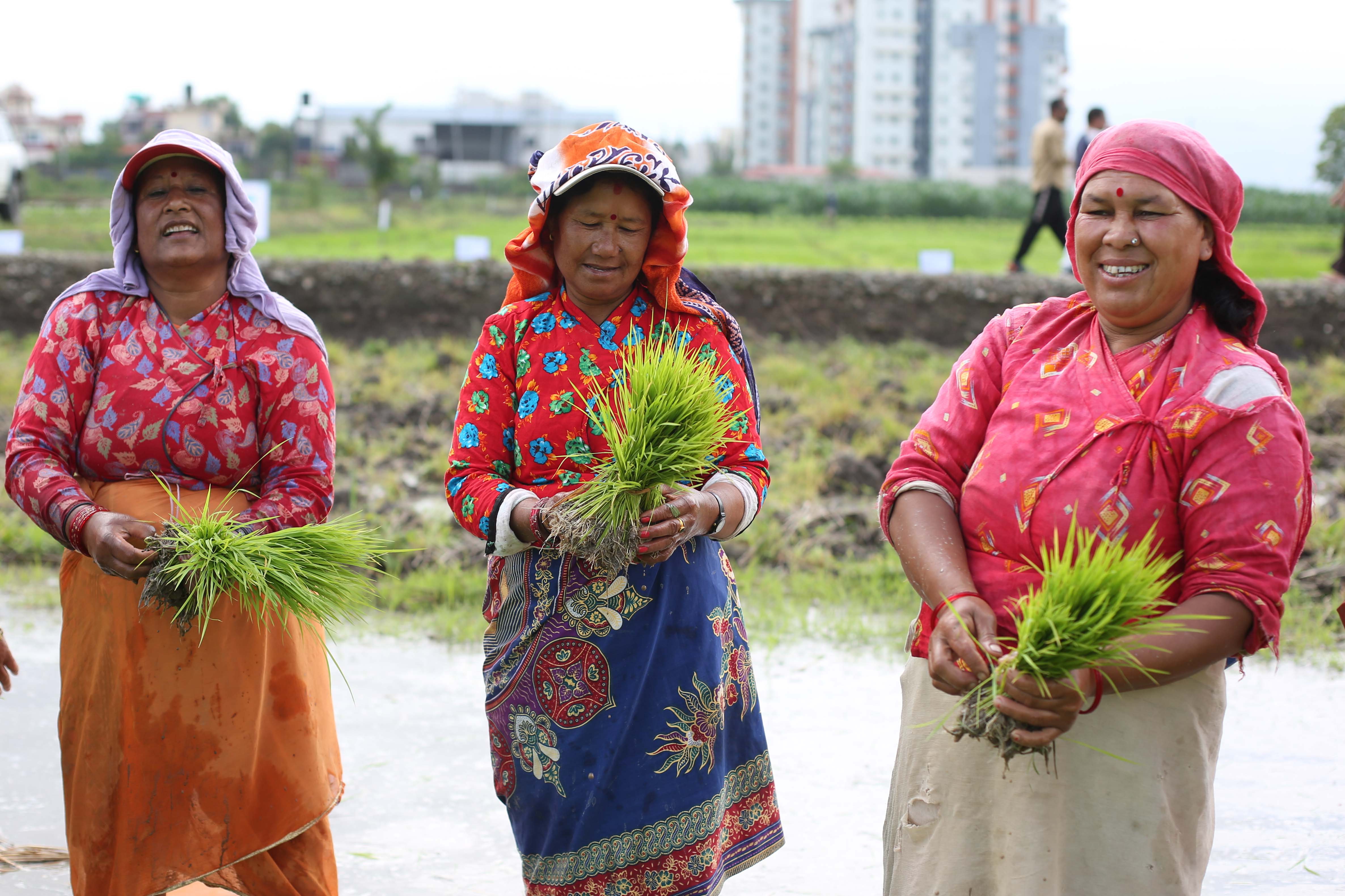 National-Paddy-Day_-564-1751172473.jpg