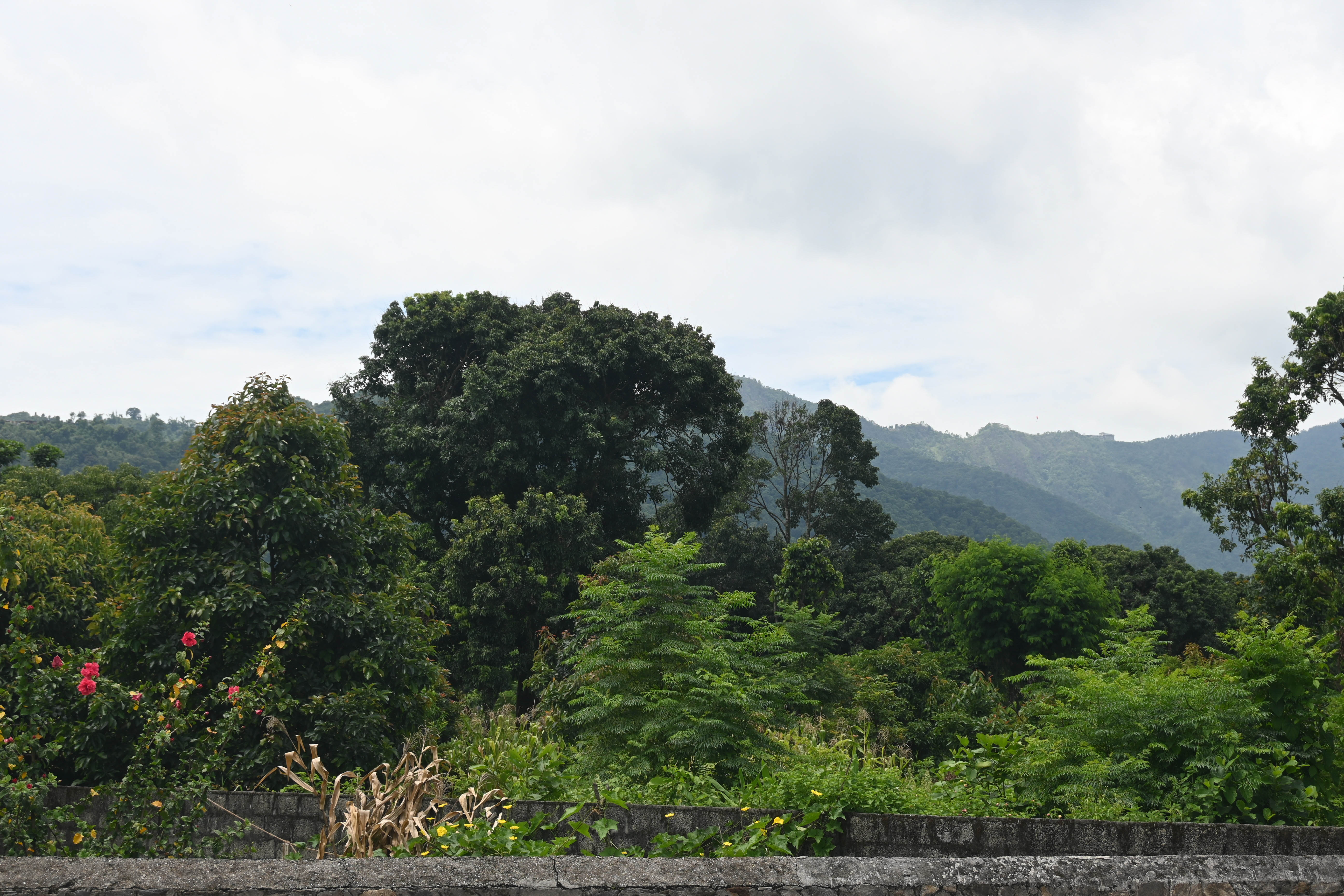 Pokhara-Batule-Chour_-1153-1752579558.jpg