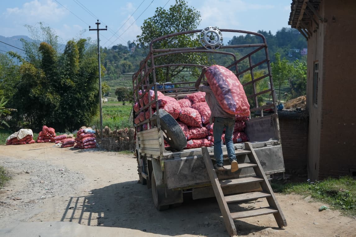 Potato-Farming-Pachkhal_Nepal-Photo-Library-(16)-1774415681.jpeg