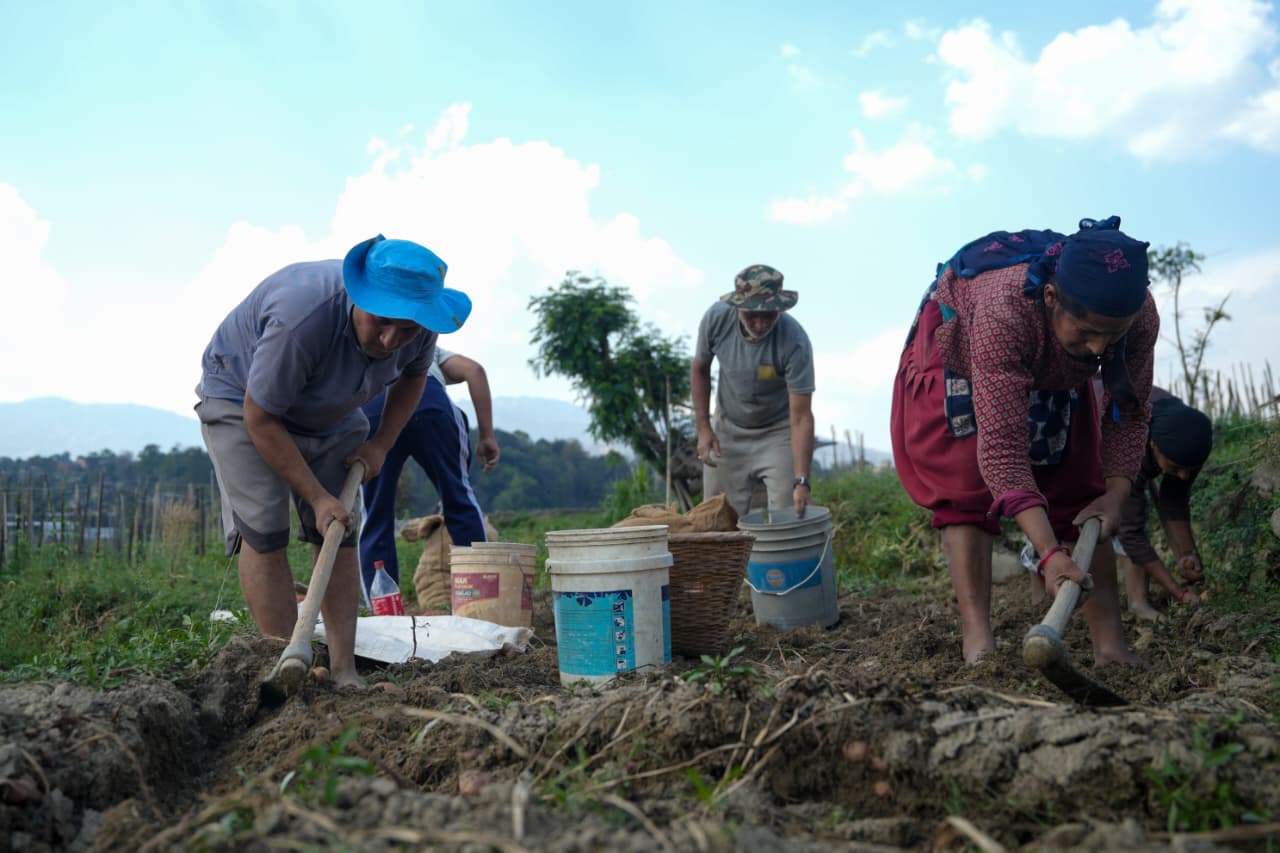 Potato-Farming-Pachkhal_Nepal-Photo-Library-(5)-1774415680.jpeg