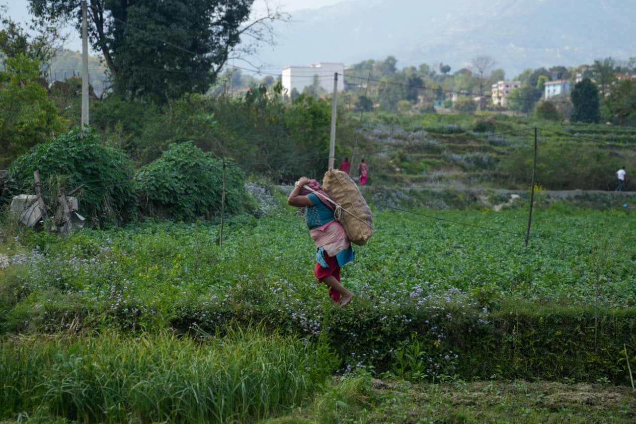 Potato-Farming-Pachkhal_Nepal-Photo-Library-(7)-1774415680.jpeg