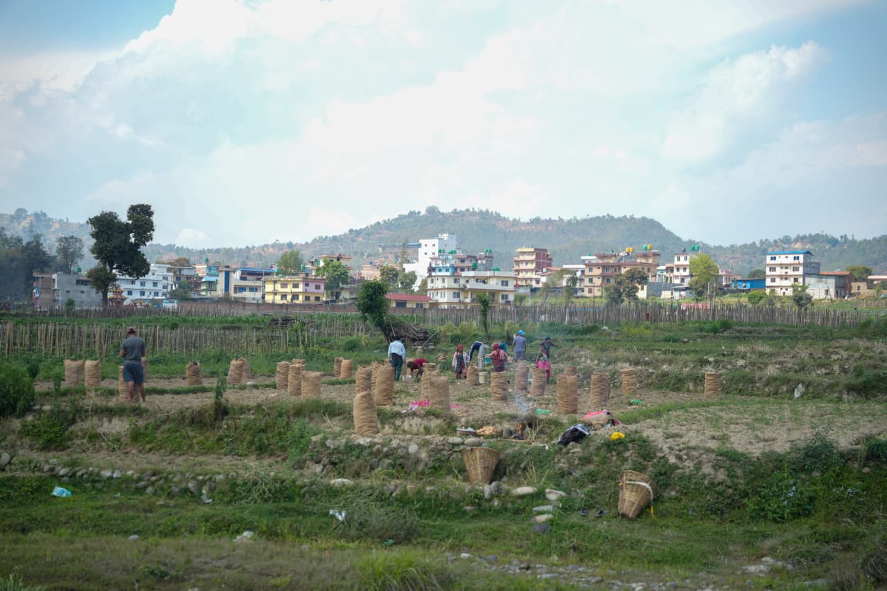 Potato-Farming-Pachkhal_Nepal-Photo-Library-(9)-1774415681.jpeg