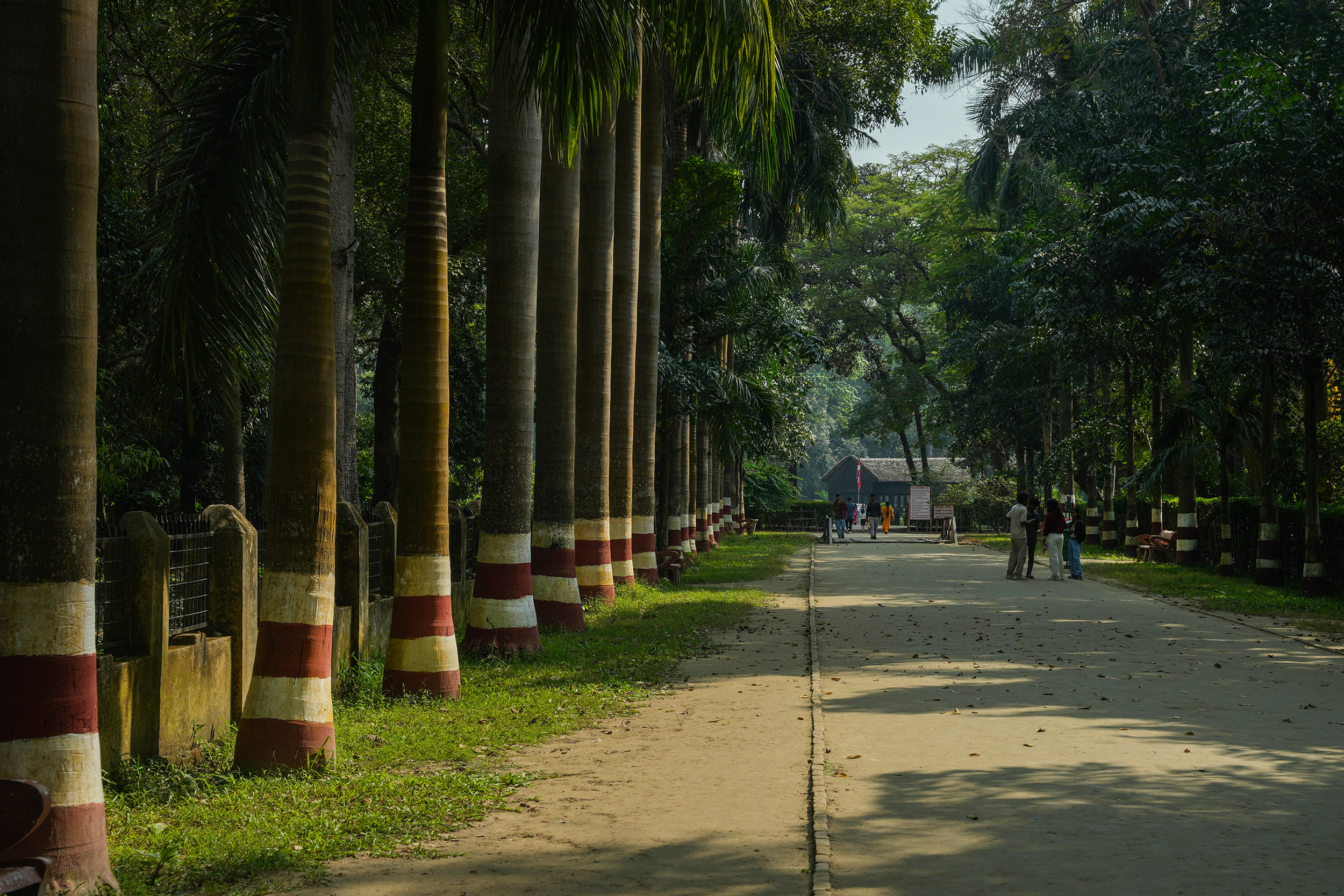 Tikapur-Park_Kalilai_NPL_PCT-(13)-1763356268.JPG