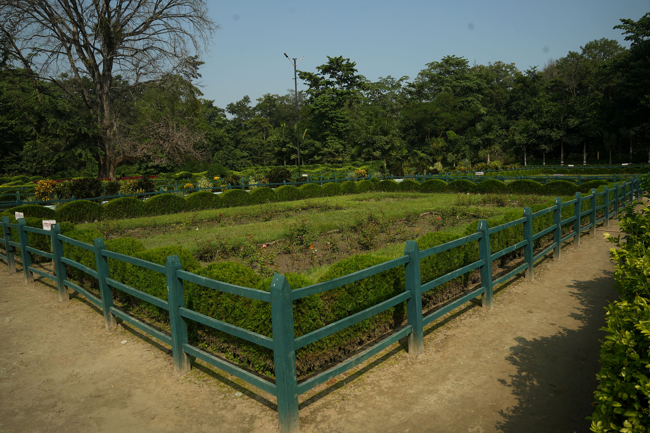 Tikapur-Park_Kalilai_NPL_PCT-(9)-1763356271.JPG