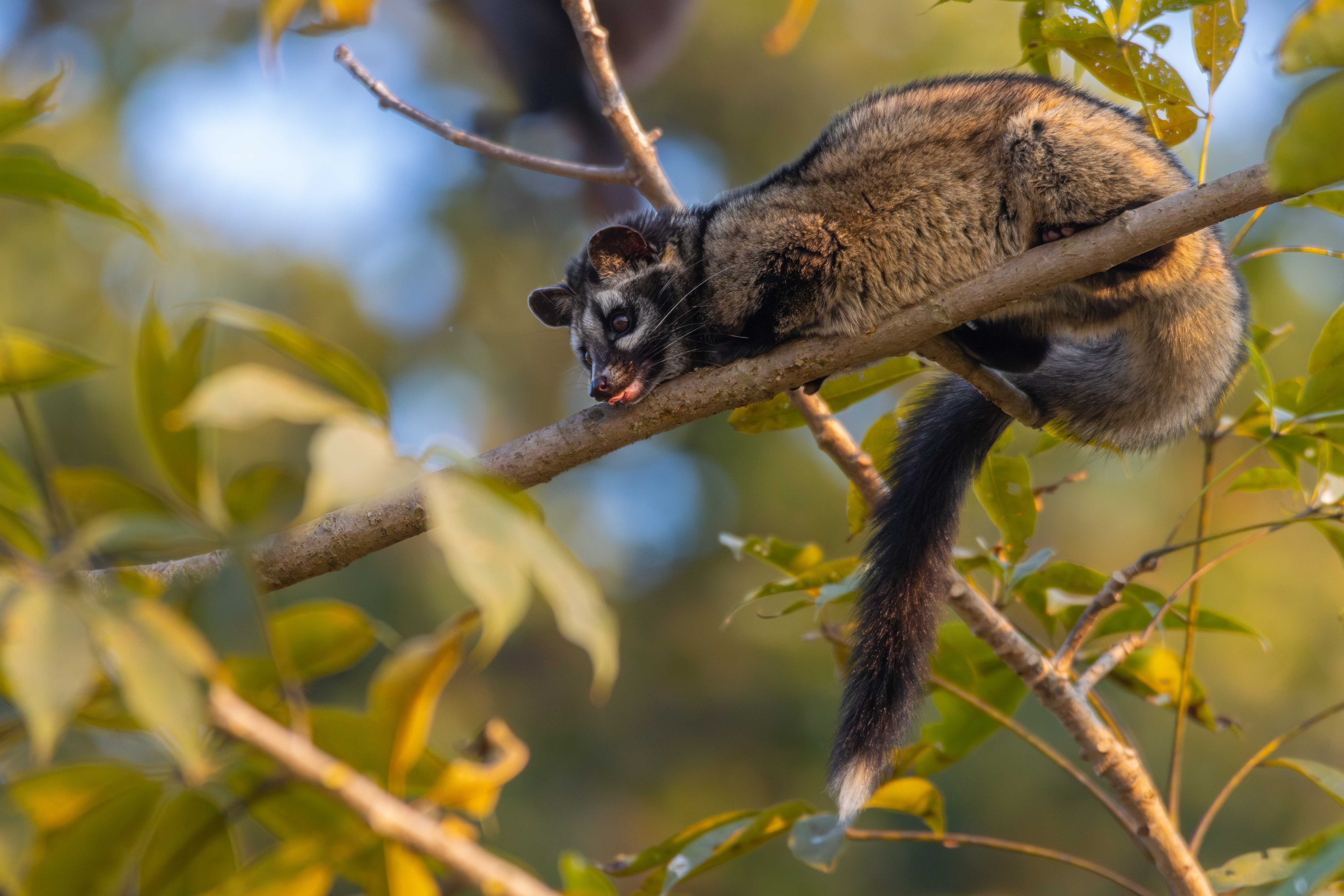 Wildlife_NPL_BS_1212-1760158874.jpg