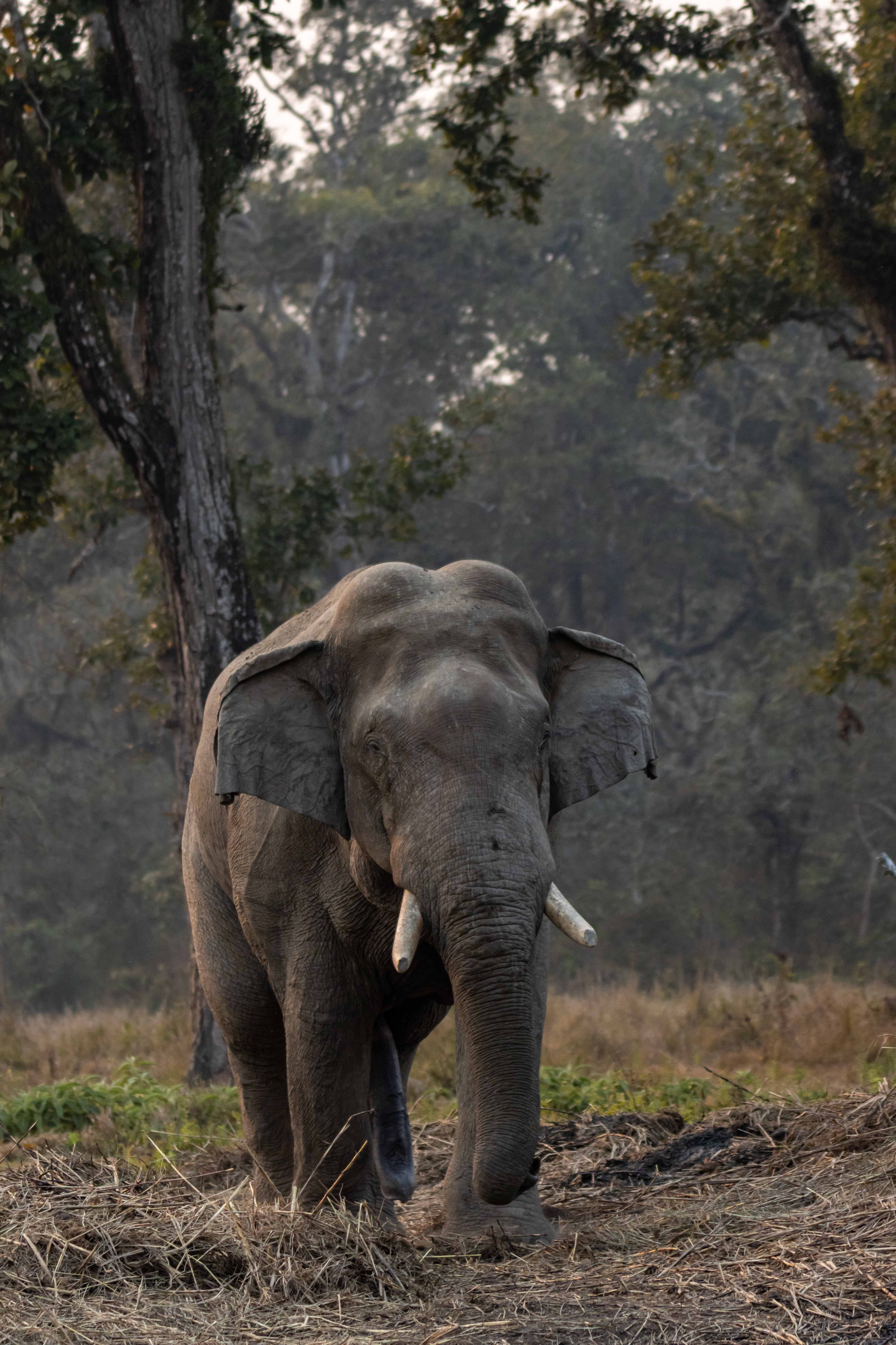 Wildlife_NPL_BS_1216-1760159087.jpg