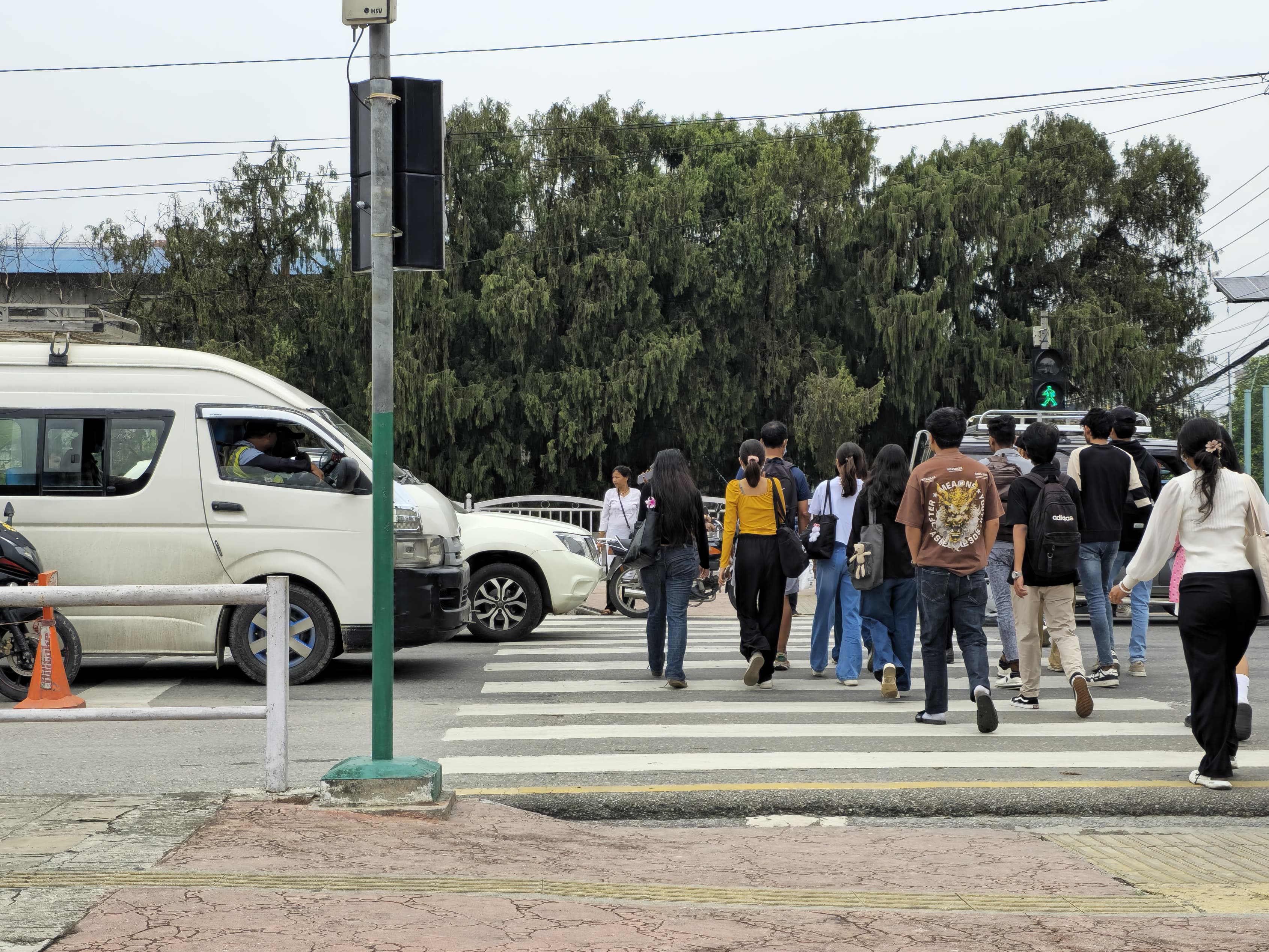 Zebra-Cross-(8)-1750049084.jpg