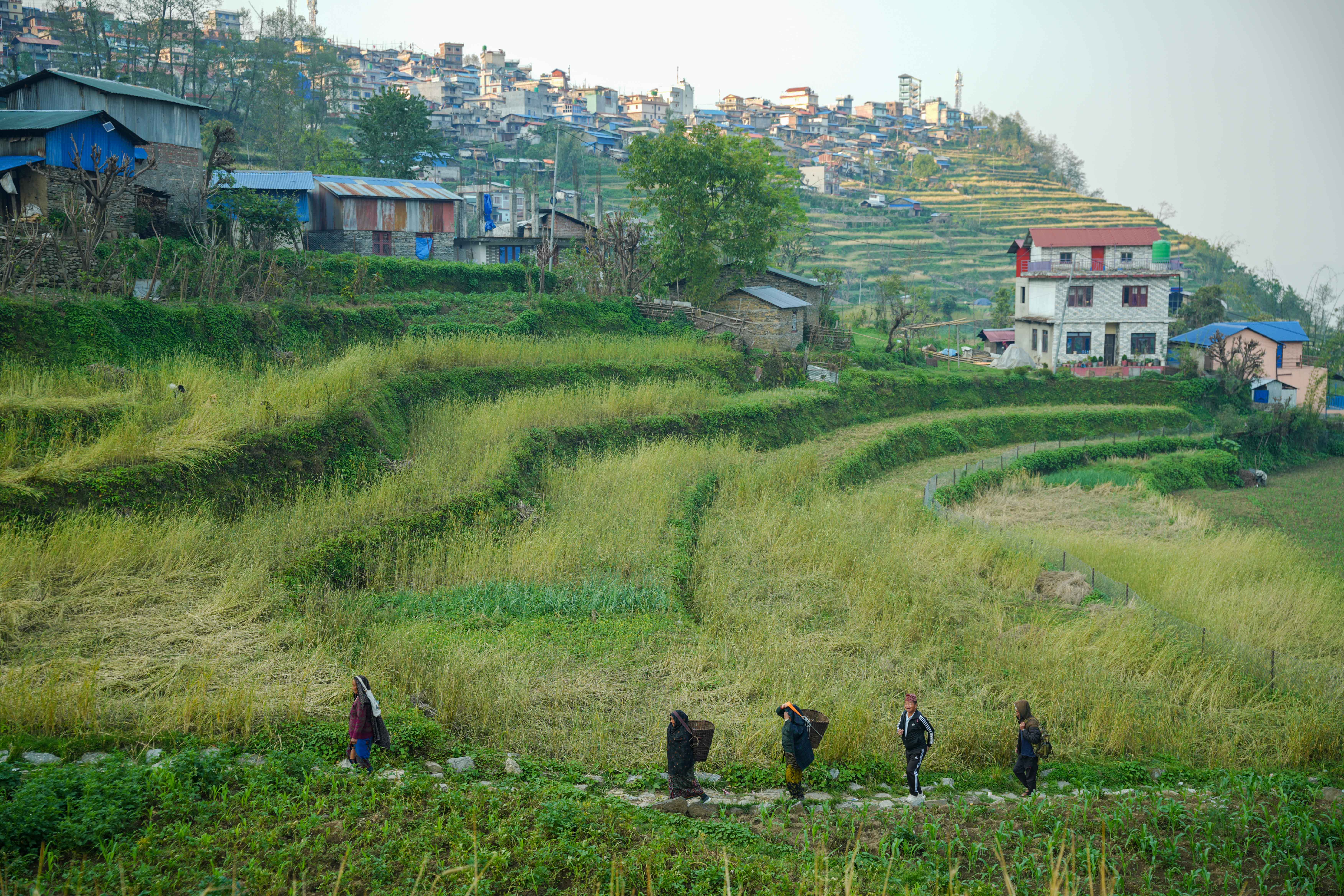 barpak-(1)-1778910351.jpg