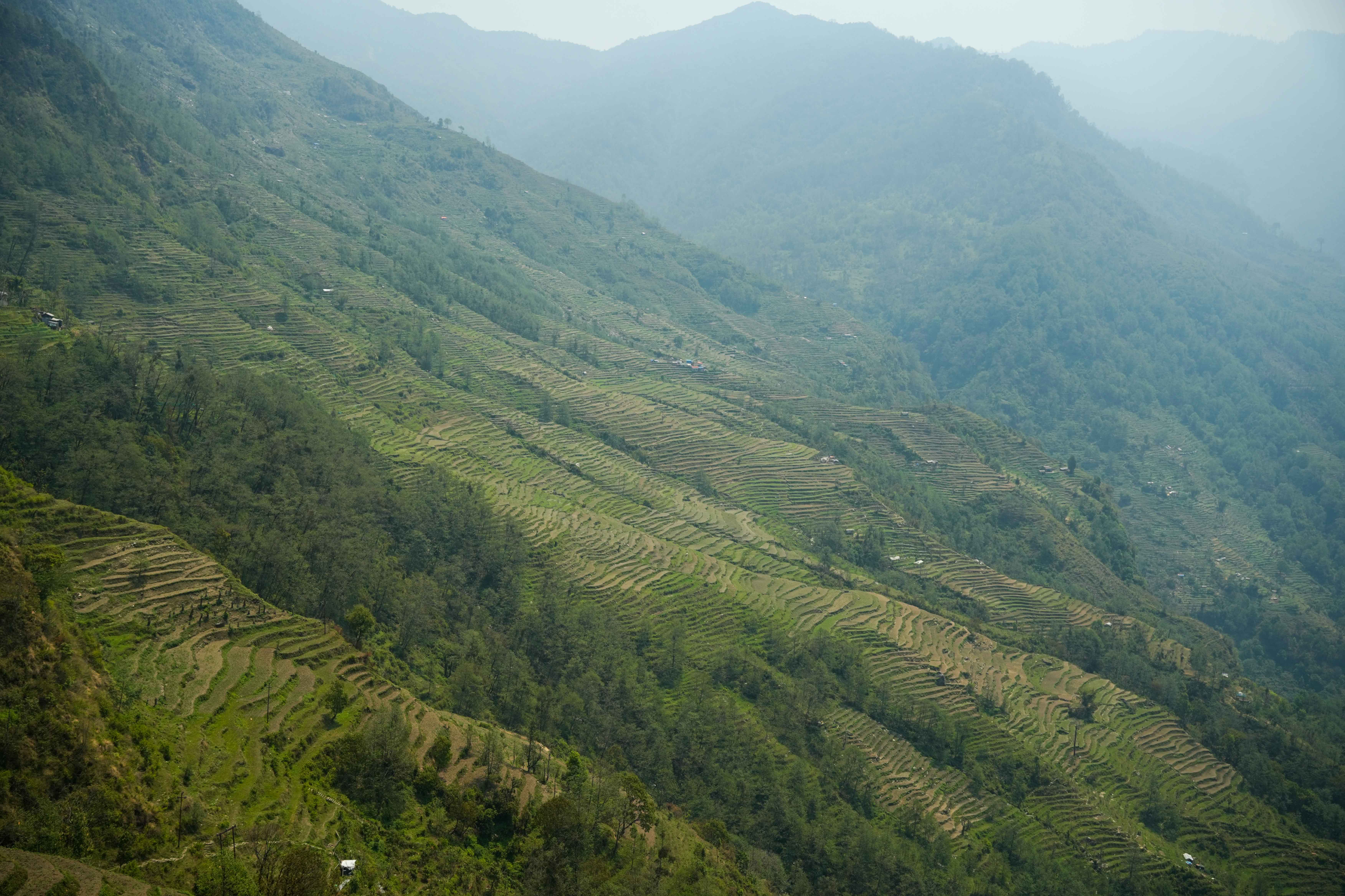 barpak-(5)-1778910371.jpg