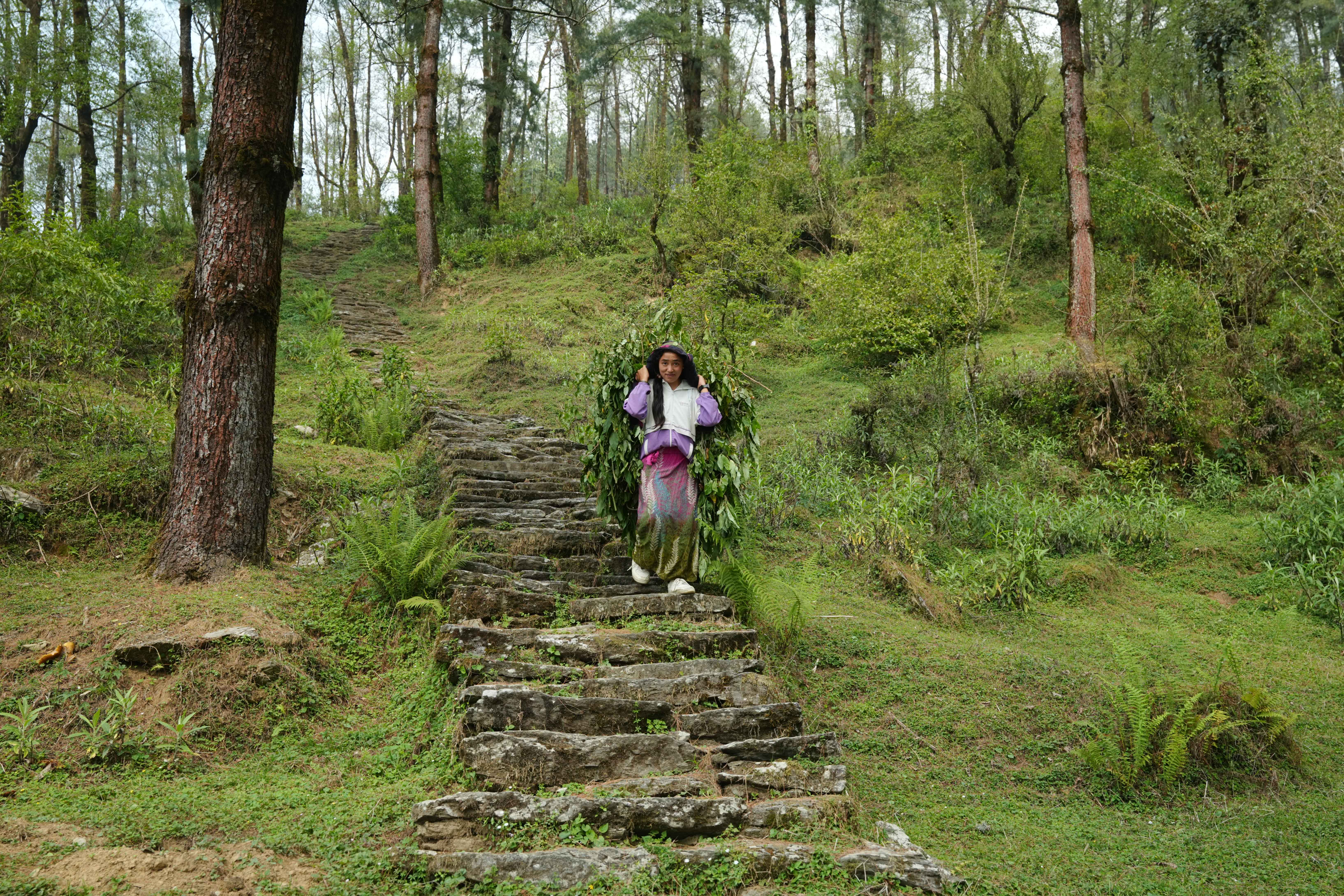 barpak-(7)-1778910366.jpg