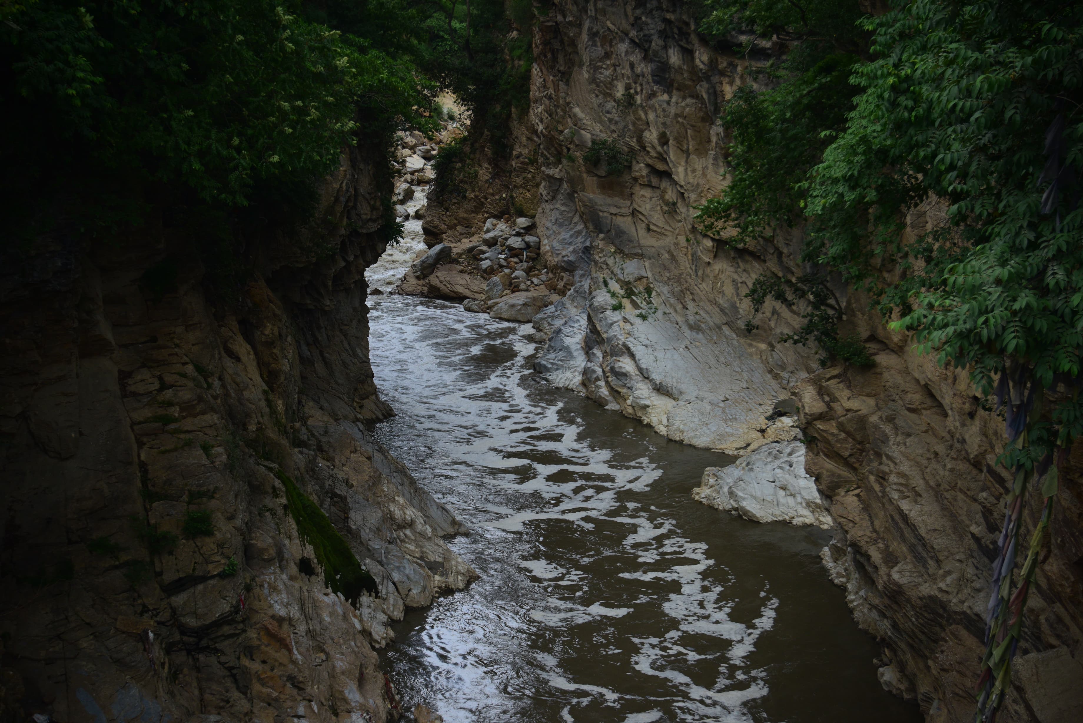 chovar-galchhi-(4)-1751458781.jpeg
