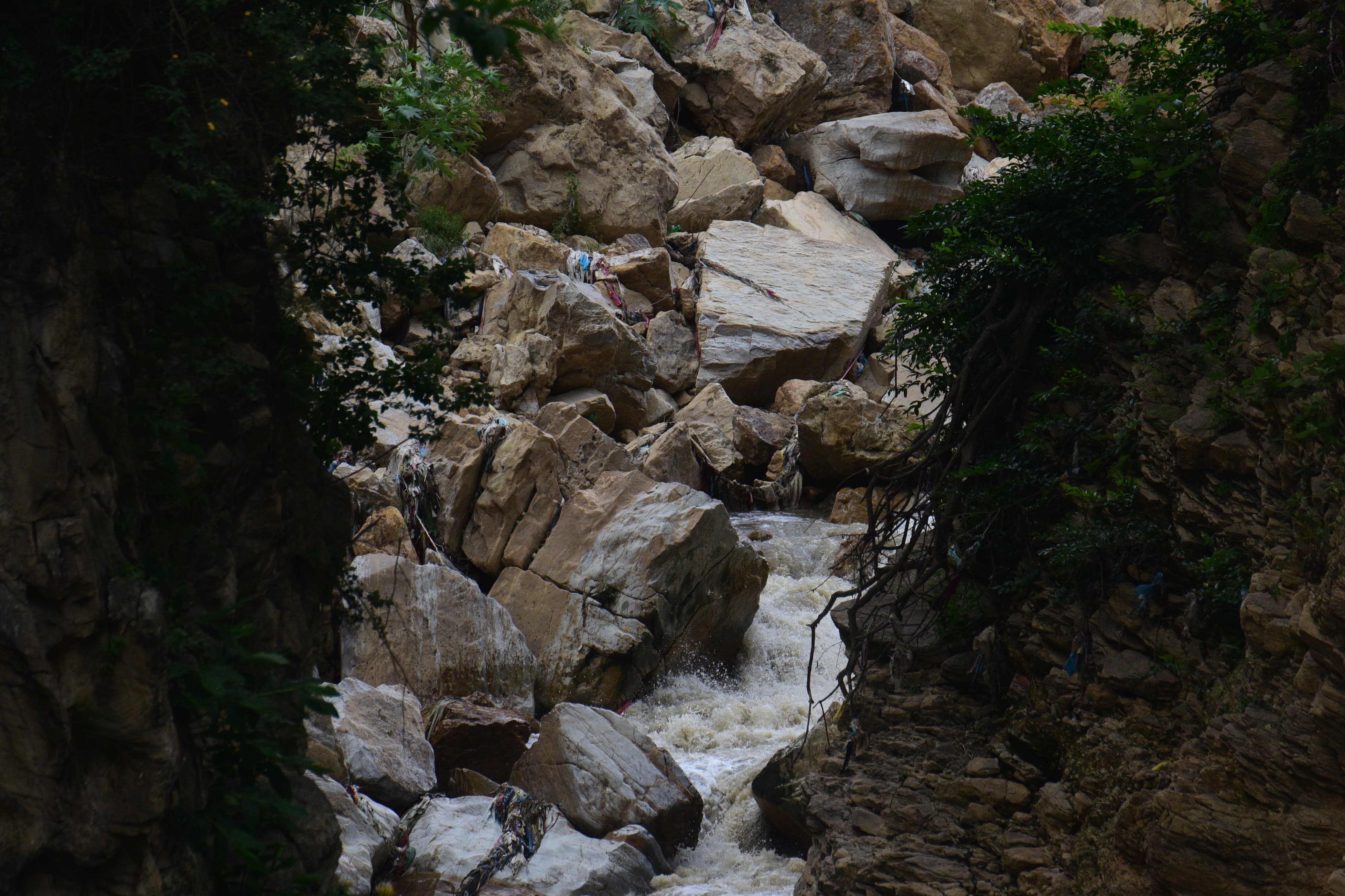 chovar-galchhi-(8)-1751458784.jpeg