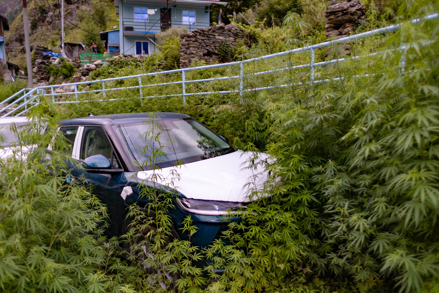 er-car-(9)-1784178588.jpg