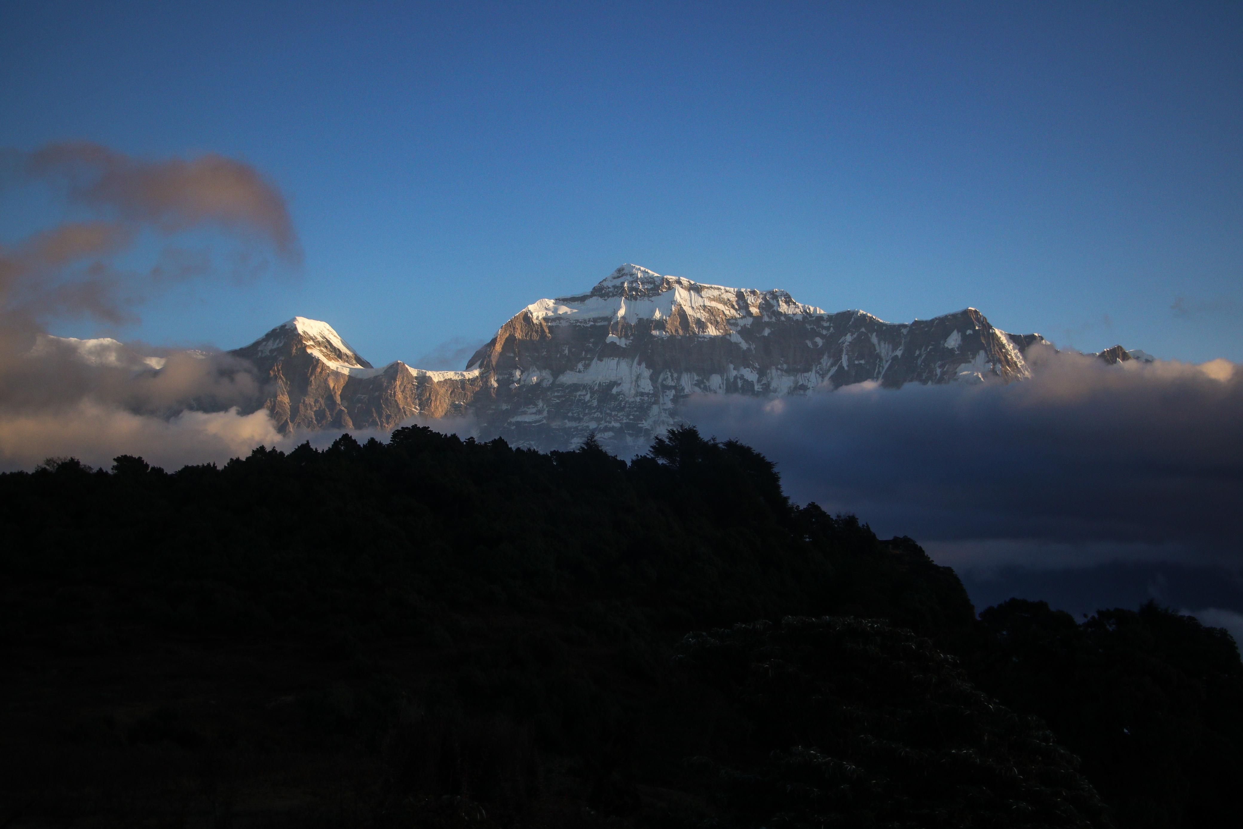 jaljala-(18)-1731910113.jpg