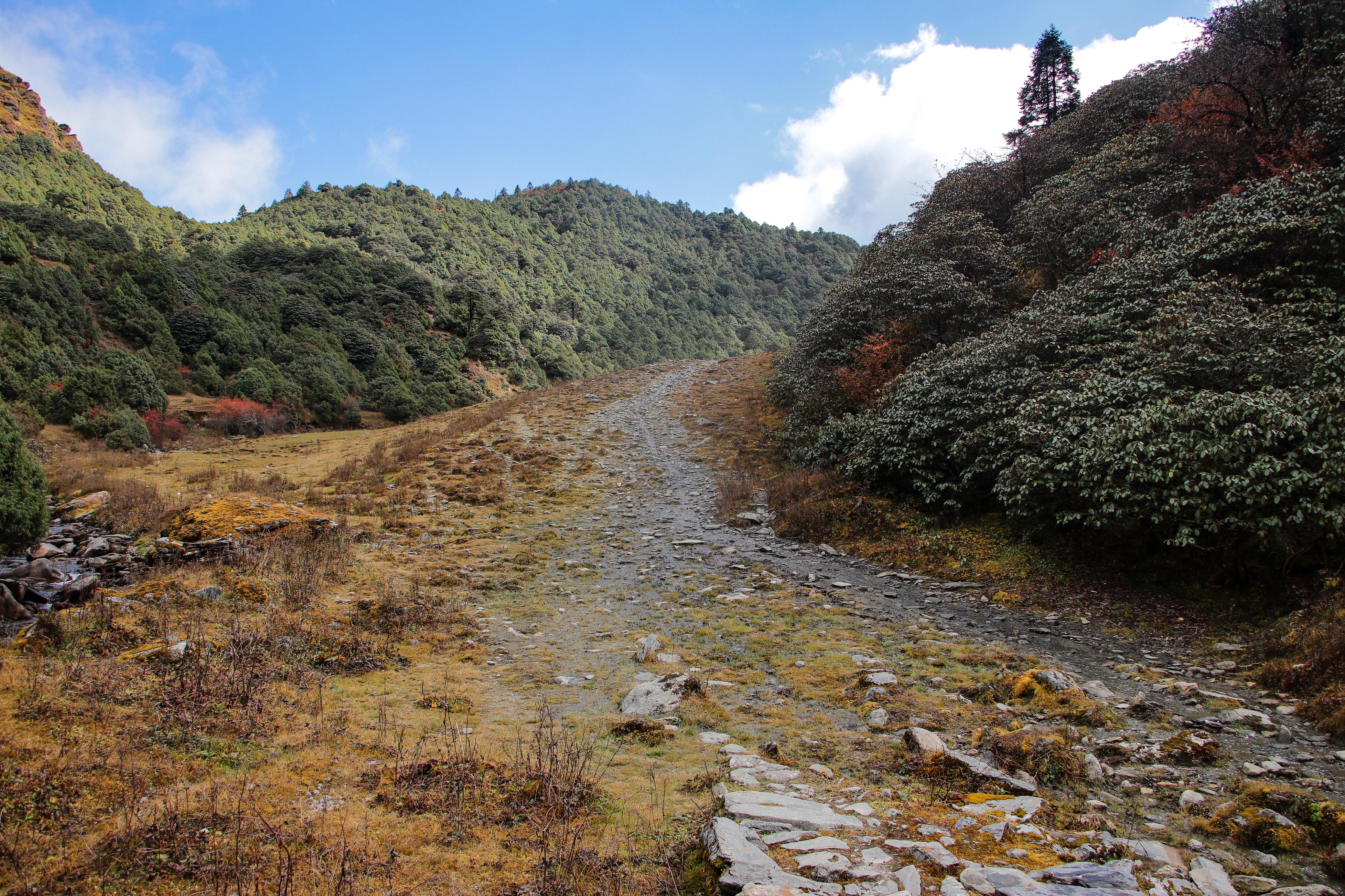 jaljala-(2)-1731910080.jpg
