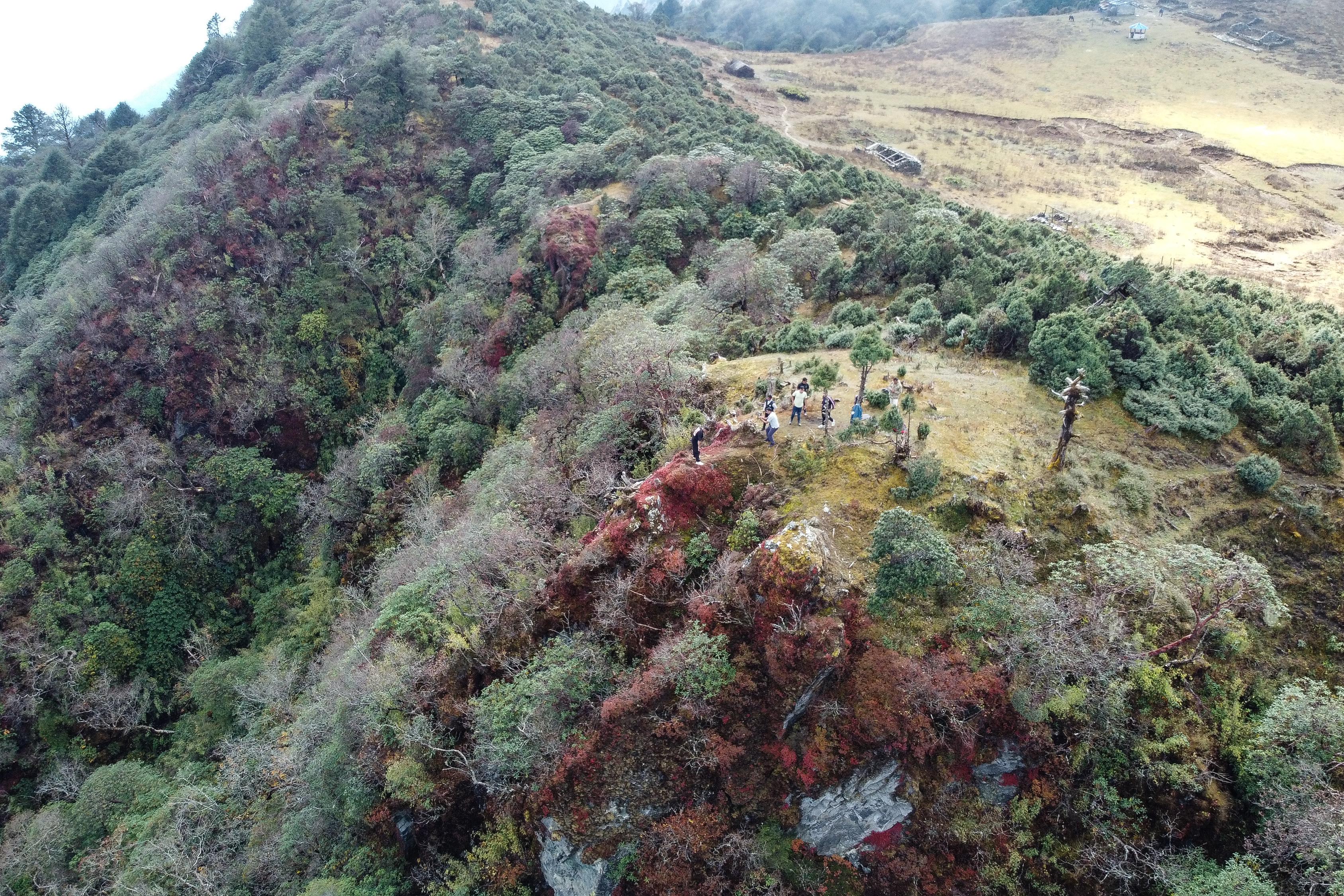 jaljala-(4)-1731910083.jpg