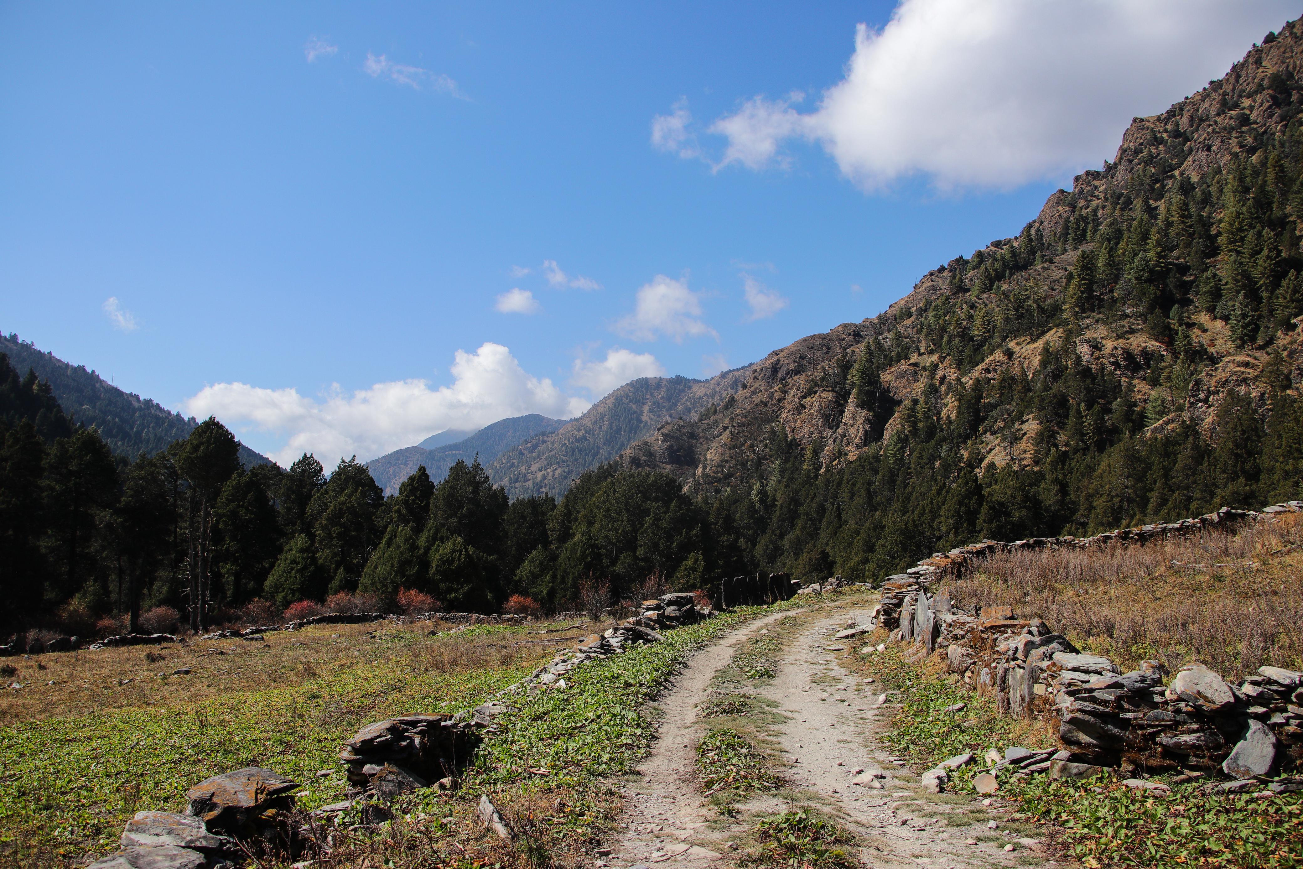 jaljala-(5)-1731910086.jpg