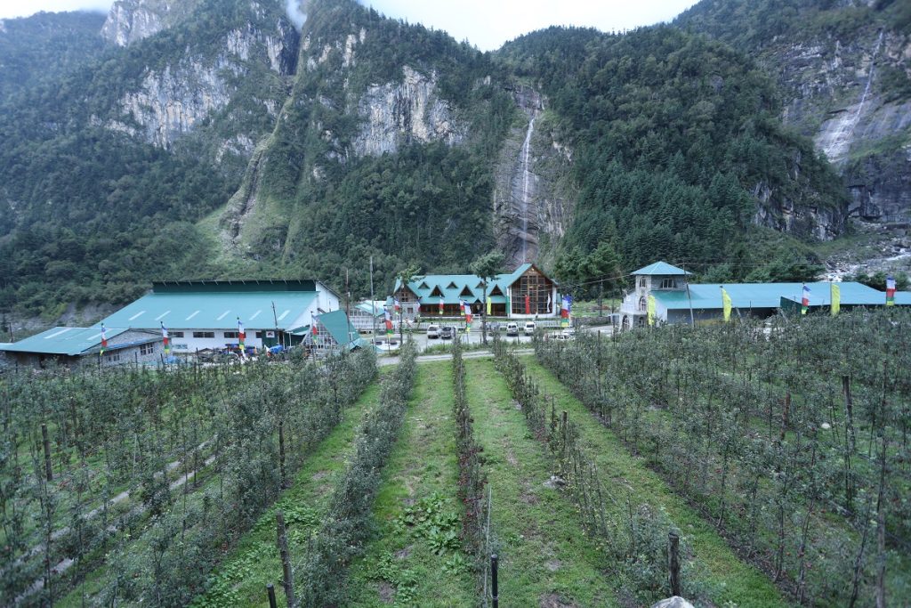 manang-apple-3-1024x683-1784616429.jpg