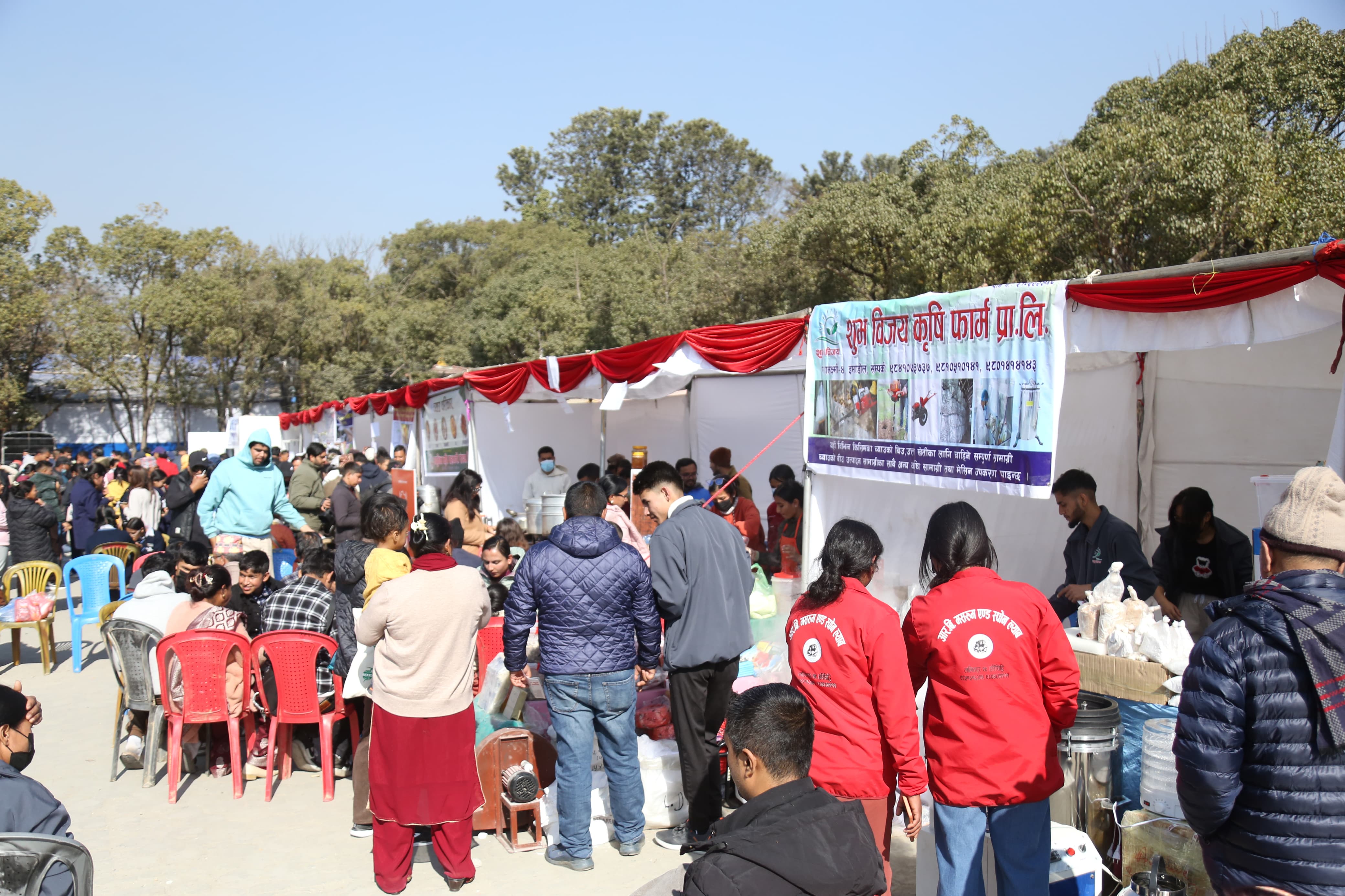 mashroom-exibition-(1)-1735552193.jpg