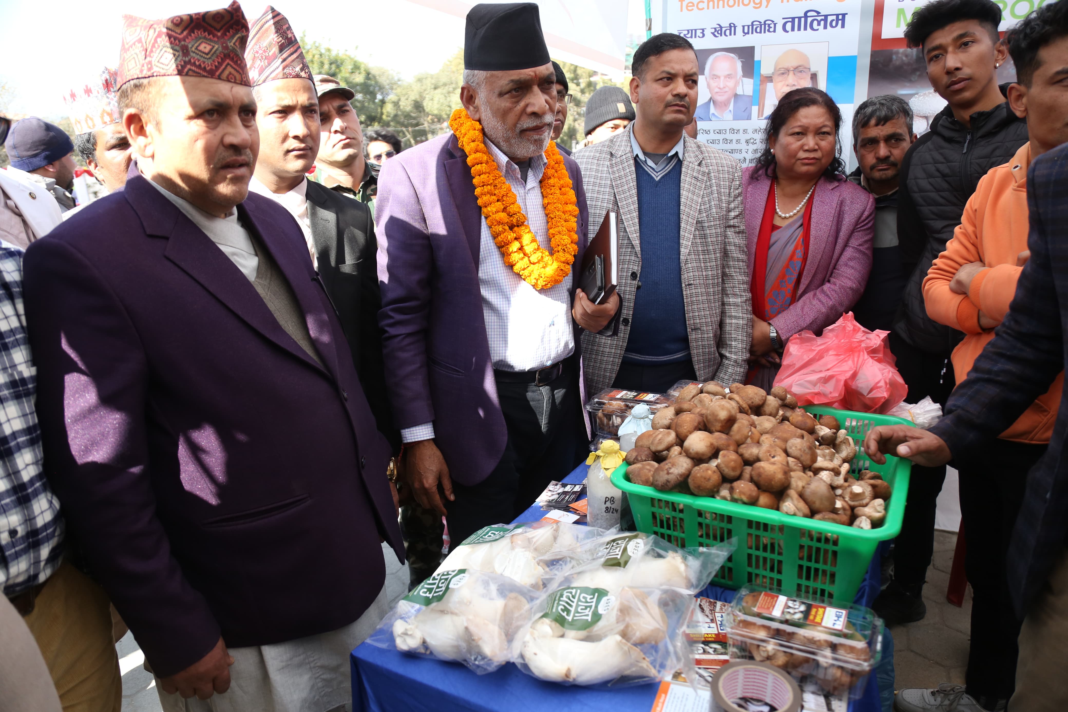mashroom-exibition-(12)-1735552207.jpg