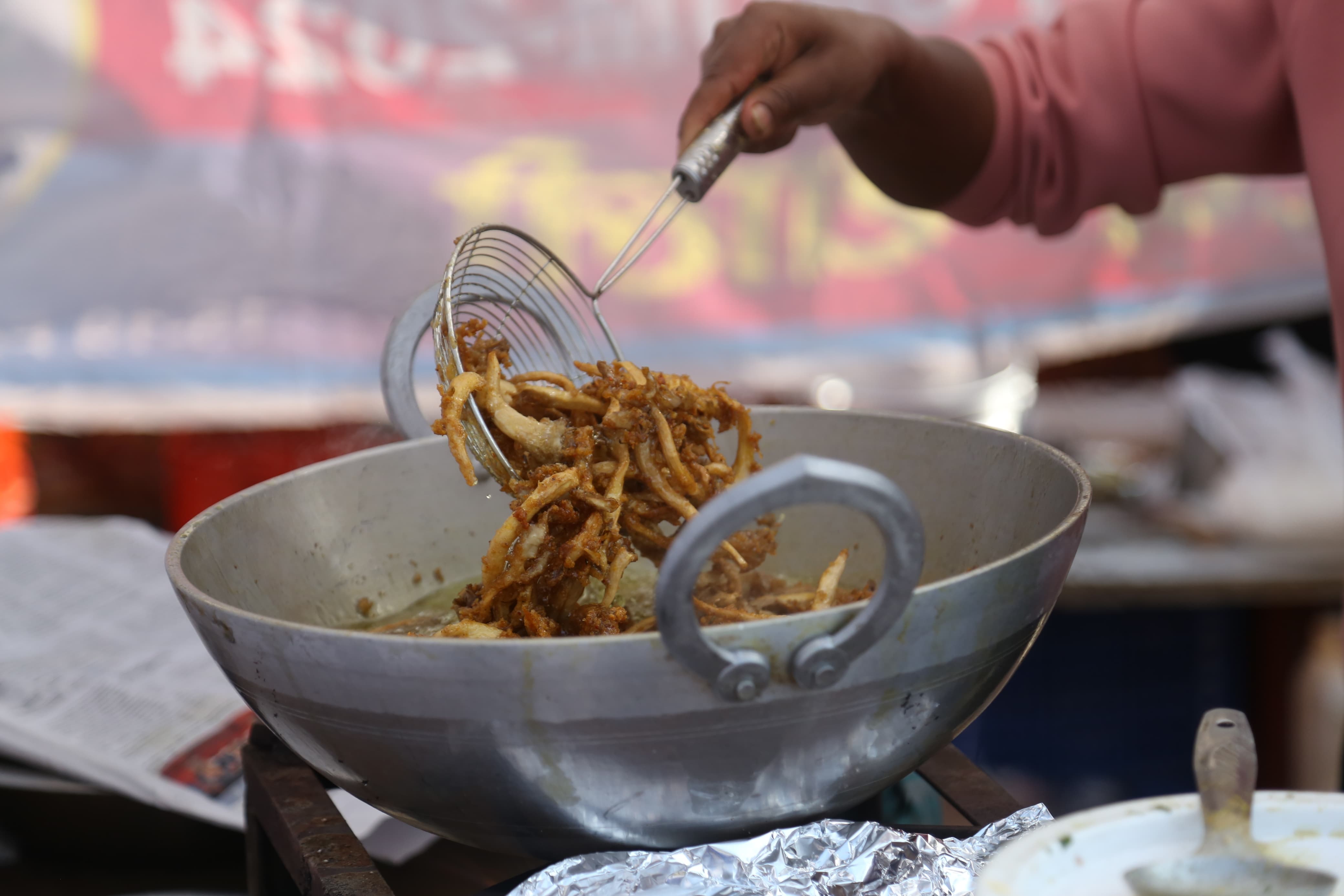 mashroom-exibition-(2)-1735552193.jpg