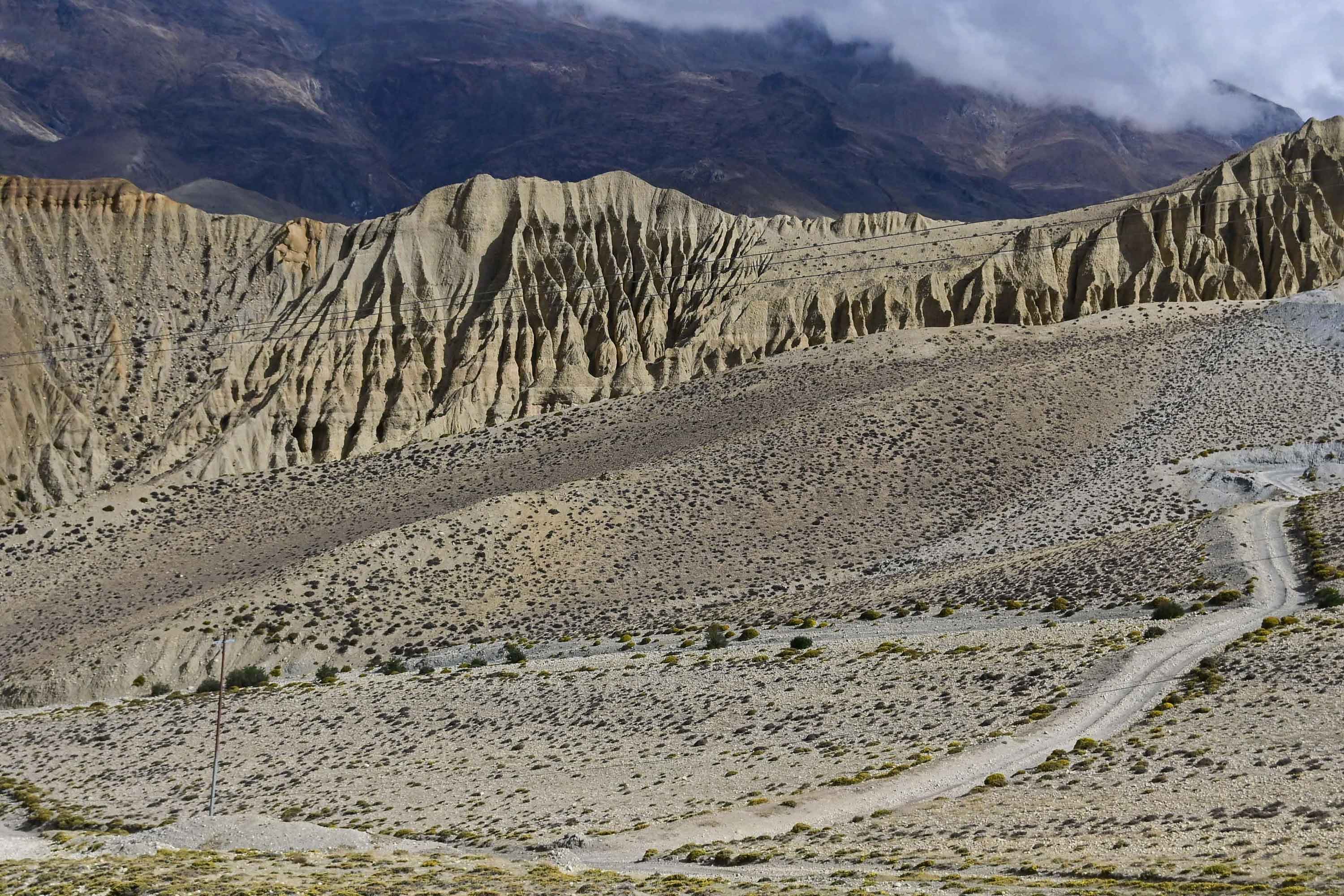 mustang-(5)-1748667261.jpg