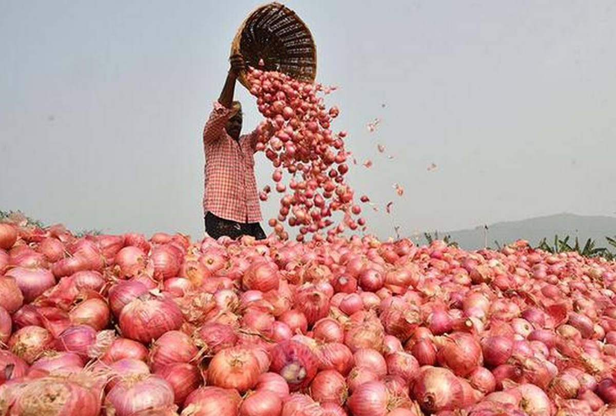 onion1687177774.jpg