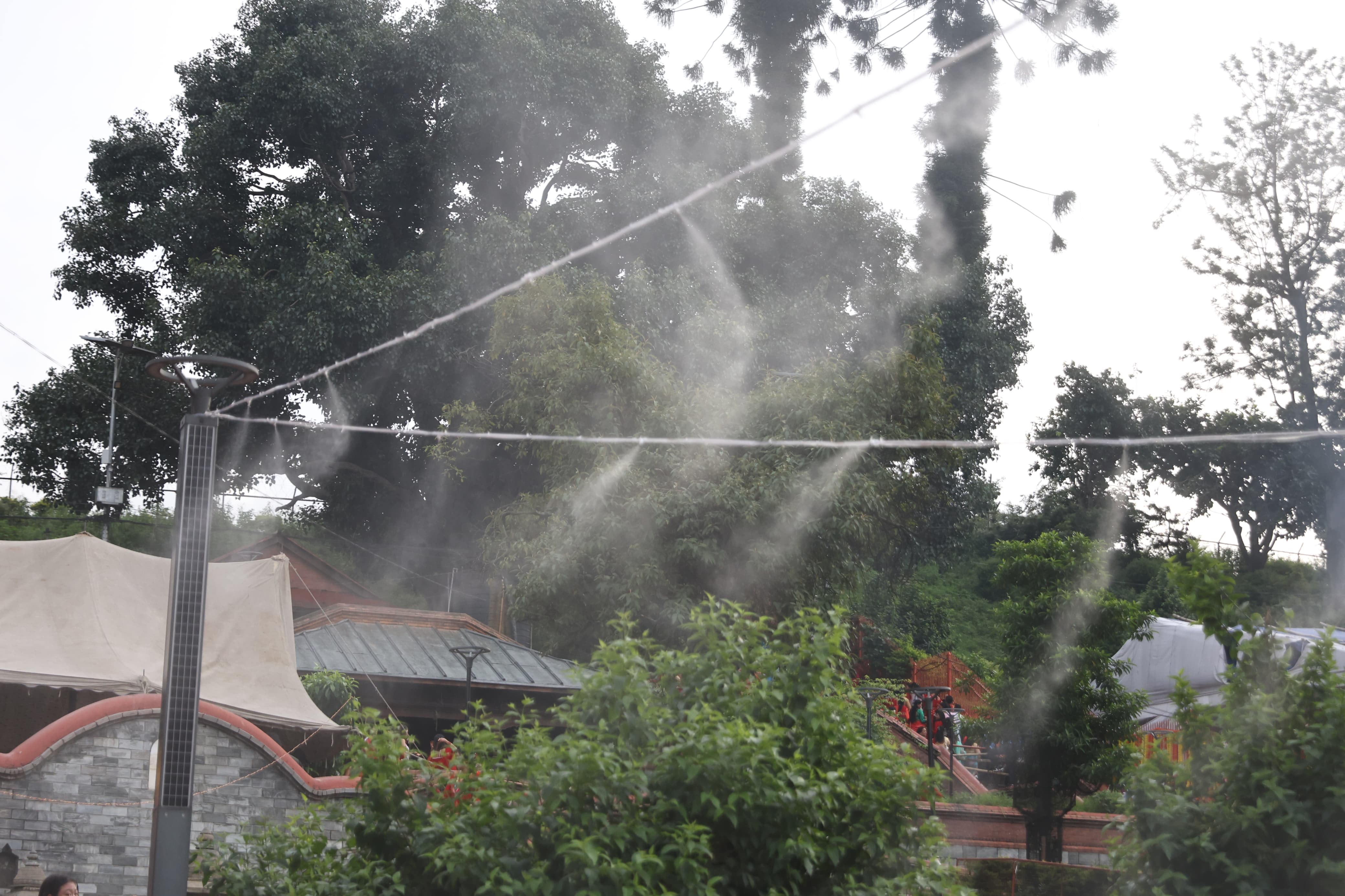 pashupatinath-teej-(32)-1756184206.jpeg
